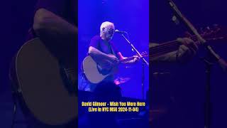 David Gilmour - Wish You Were Here (Live in NYC MSG 2024-11-04) #luckandstrange #davidgilmour