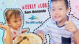 Weekly Vlog 1 幸福的小日子 | 疫情当下去Sea World | 圣安东尼奥游玩 | 好吃的墨西哥小店 | 游玩攻略