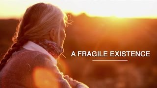A Fragile Existence - Green Renaissance