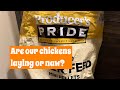 Weighting in on the chicken feed controversy