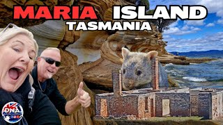 MARIA ISLAND - NIK FINALLY GETS TO SEE HER WOMBATS - IT'S A MUST-SEE PLACE - FULLTIME TRAVELLERS.