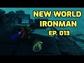 A Very Pleasant Surprise... - New World Ironman: Ep. 013