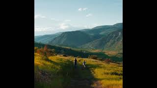 Colorado Tax Returns Are Now Being Processed – What You Need to Know!