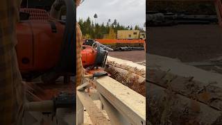 Sawmill, Debarking and Woodworking with an Axe | Quality of Life