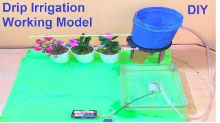 how to make drip irrigation working model science project using cardboard and dc motor | DIY pandit