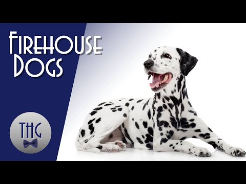 What were fire dogs used for?