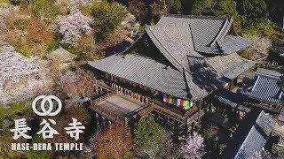 奈良県 桜井市 長谷寺　nara , Japan , Hase-dera Temple  【 The Temple in Japan 】