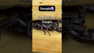 The loyalty of Scorpio #facts #humanity #tiktok #shorts #shortvideo #funny