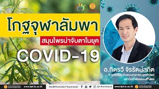 Podcast EP12 : โกฐจุฬาลัมพา สมุนไพรน่าจับตาในยุค COVID 19   | FPH Thammasat [Next Step]