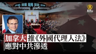 加參議員再推《外國代理人法》 應對中共滲透