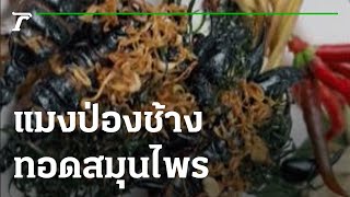 เปิบพิสดารเมนูแมงป่องช้างทอดสมุนไพร | 15-09-65 | ตะลอนข่าว