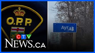 Police investigating after Ayr sign vandalized