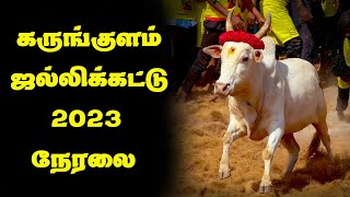 கருங்குளம்|ஜல்லிக்கட்டு 2023|நேரலை