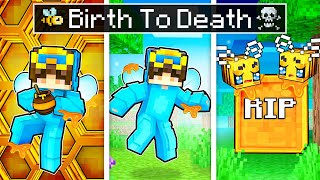 BIRTH to DEATH of a BABY BEE in Minecraft!