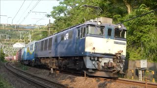 2016/5/21  3074レ  EF64 1019牽引