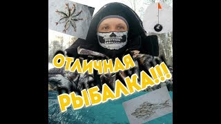 ЩУКА ЛОМАЕТ КРЮЧКИ!!!ОГРОМНАЯ ПЛОТВА В БОЕВОМ РАСКРАСЕ!!!!