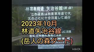 2023年10月林道矢治谷線(岳人の森ダート)