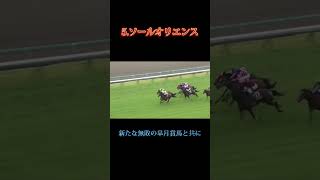 日本ダービー2023 本命は好きな馬からいこう❗️ #競馬 #競馬予想 #競馬G1 日本ダービー #日本ダービー予想 #東京優駿 #ソールオリエンス #エフフォーリア #横山武史