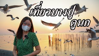 Frankky Diary I EP.24 เที่ยวบางปู ดูนกนางนวล