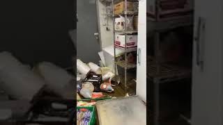 N.J. ice cream shop destroyed by flooding from Henri