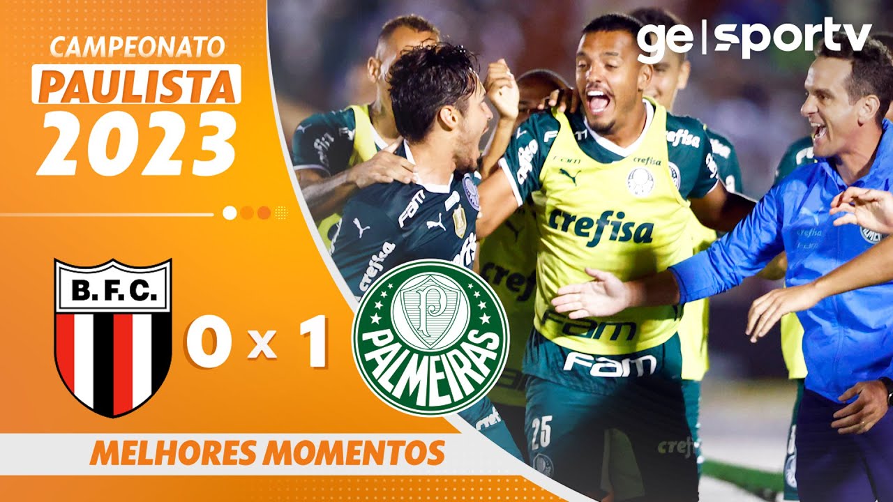 BOTAFOGO-SP 0 X 1 PALMEIRAS | MELHORES MOMENTOS | 2ª RODADA DO ...