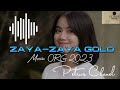 Zaya zaya Golo || dj Nias terbaru 2023 || VERSI ORG 2023 || By Petrus Chanel