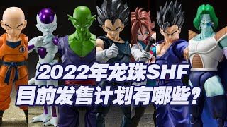 【濤光玩具箱】萬代龍珠SHF2022年目前發售計劃一覽，有新品有再版，哪款是你最期待的呢？克林弗利薩比克貝吉塔悟空悟飯多多利亞薩博人造人21號凱夫拉