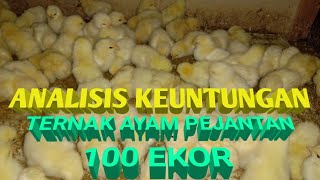 TEKNIK DAN ANALISIS KEUNTUNGAN BETERNAK AYAM PEJANTAN 100 EKOR