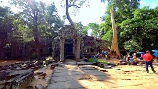 柬埔寨暹粒吳哥城塔普倫神殿2/11 Ta Prohm Temple Angkor Thom, Siem Reap (Cambodia)