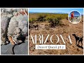 Arizona CRAZY Desert Quail Hunt-Part 2