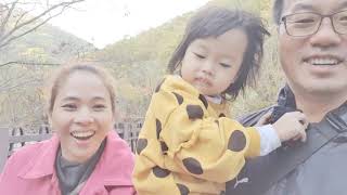 Autumn Mountain in Korea: Jirisan National Park