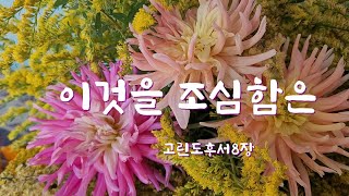 이는 우리가 주 앞에서만 아니라 사람 앞에서도 선한 일에 조심하려 함이라(고후8:21)