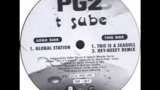 Pg2 - This Is A Segull