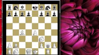 BIRD vs LASKER prihvaceni Danski gambit #127 sah i mat