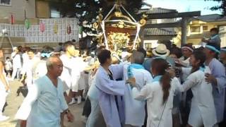 2015茅ヶ崎 円蔵神明大神宮例大祭白熱の宮入