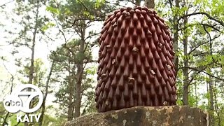 Hikers protesting new 'Beetlejuice'-like sculptures in Pinnacle Mountain State Park