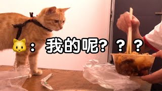 带捡来的小猫咪回农村老家第四天之赶大集