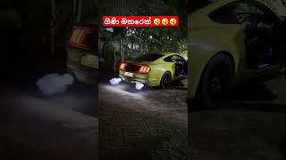 එයා ගිණි පඹිනවා දැක්කේ කවුද😳😳😳#kamesh #amila_vlogs #fordmustang #mustanggt #burnout #backfires