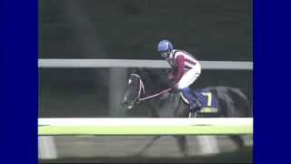 2012/04/18　大井競馬11R 東京スプリント　セイクリムズン