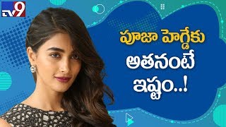 Pooja Hegde busy with Tollywood movies - TV9