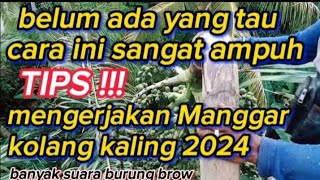 BUKAN KALENG KALENG CARA INI BELUM BANYAK YANG TAU TRIK BARU 2024