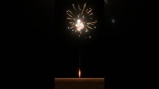 FWsim 3.5 beta fireworks - 20mm cakes demo