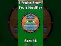 3 Fruits From Fruit Notifier - Part 16 #bloxfruits #roblox #onepiece