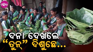 Green Leaf Plate Making: ଇ ଗ୍ରୁପ୍ ର ମହିଲାମାନେ ଦନା ବନେଇକରି କରୁଛନ୍ ରୁଜଗାର୍...