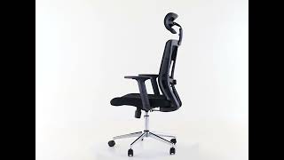 SILLON ERGONOMICO VERNE