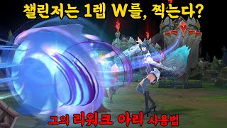 아리 원챔으로 챌린저, 그가 리워크 아리 쓰는 법! - 미드 아리