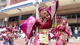 【４K】躍動「百花不撓」 ★第18回湘南よさこい祭り2023/ストリートパフォーマンス/2023.06.04/CanonEos90D