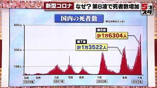 【新型コロナ】第8波で死者急増！　一体なぜ!?　これまでの感染者数・死者数をおさらい (2023年1月17日)