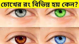 Why Do We Have Different Eye Colours? || আমাদের চোখের রং বিভিন্ন হয় কেন?🤔