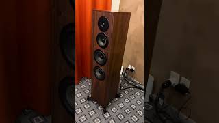 Revival Audio #audiophile #hifi #audio #hifiaudio #highend #loudspeaker #loudspeakers #highendaudio